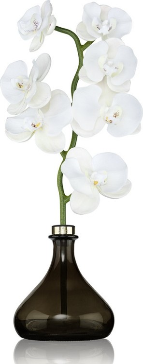 SENTI Namų Kvapų Difuzorius Orchid White Flowers 250 ml